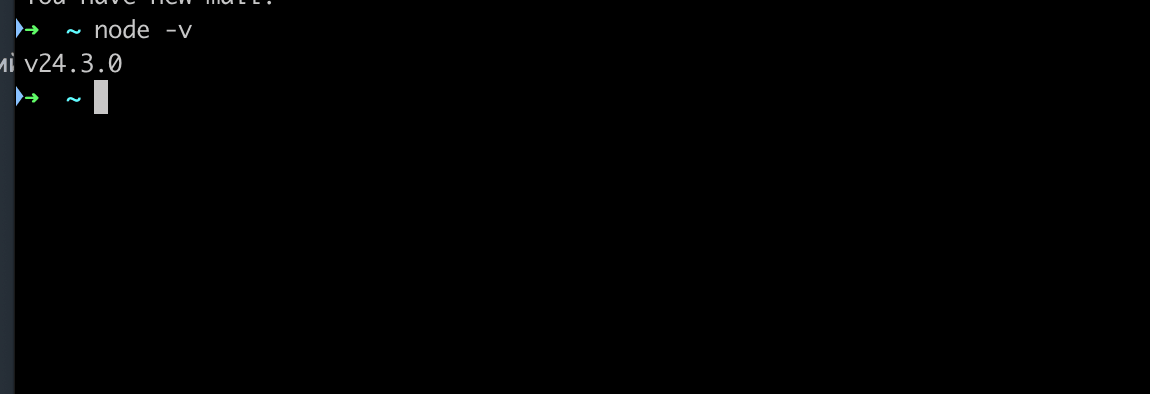 Terminal showing node -v output: v24.3.0