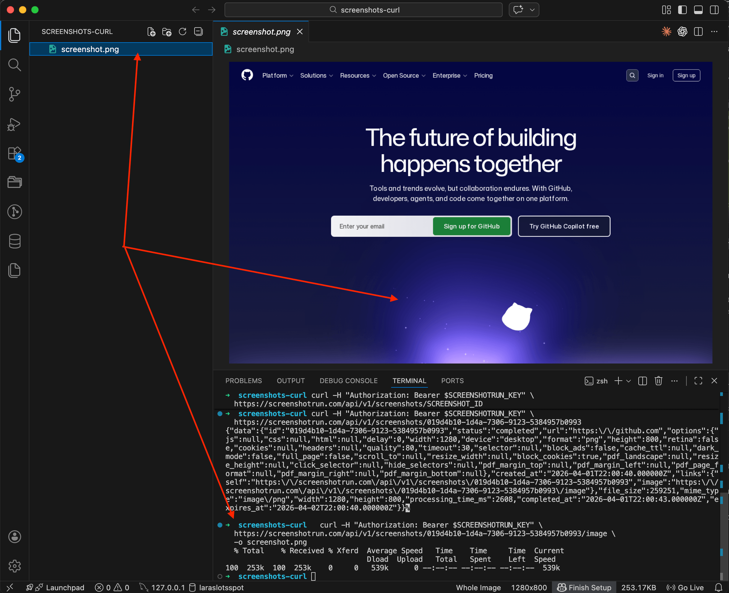 Terminal showing three commands: creating a screenshot, checking status, and downloading screenshot.png