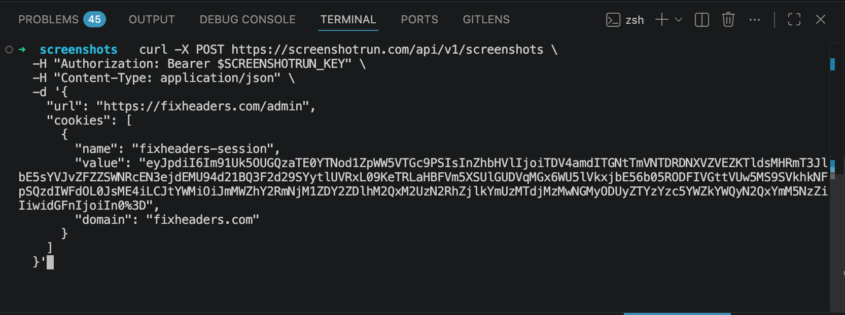 terminal with cookie JSON