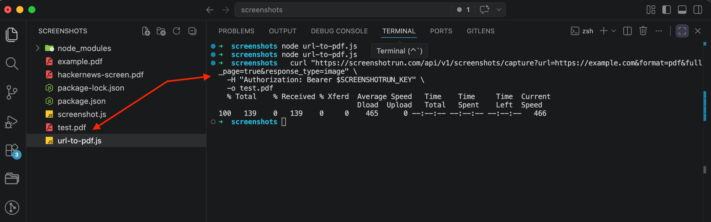 ScreenshotRun API curl request generating a PDF, terminal showing the response and test.pdf file saved in the project folder