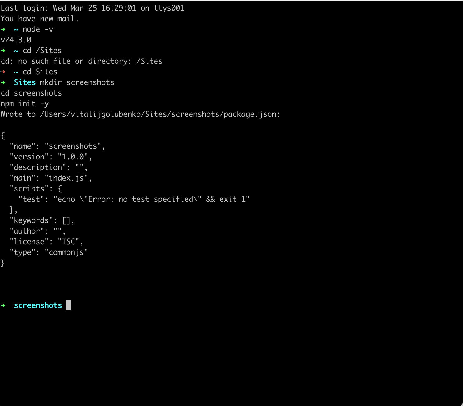 Terminal showing mkdir screenshots, cd screenshots, npm init -y with package.json output